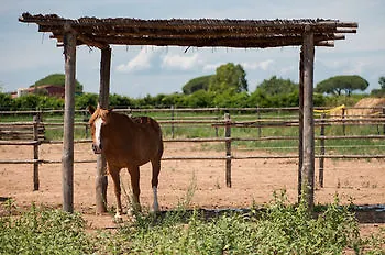 Tenuta Uccellina Otel Magliano in Toscana