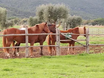 Tenuta Uccellina ホテル マリアーノ・イン・トスカーナ